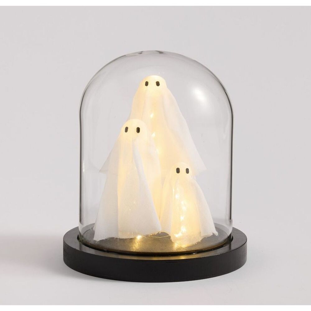Pottery Barn Lit Ghost Cloche